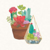 Succulent Garden IV Poster Print by  Wild Apple Portfolio - Item # VARPDX21558