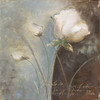 Magic Garden III Poster Print by Patricia Pinto - Item # VARPDX7199