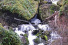 Stream Falls VIII Poster Print by Logan Thomas - Item # VARPDXPSTMS115