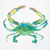 Sealife IV Poster Print by Julie DeRice - Item # VARPDX9866G