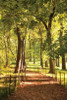 Follow the Path II Poster Print by Karyn Millet - Item # VARPDXPSMLT269