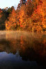 Autumn Mist II Poster Print by Alan Hausenflock - Item # VARPDXPSHSF960
