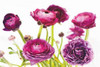 Spring Ranunculus III Poster Print by  Laura Marshall - Item # VARPDX25099