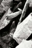 http://c328301.r1.cf1.rackcdn.com/PDXPSHSF1274LARGE.jpg