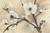 Spring Blossoms III Poster Print by  Chris Paschke - Item # VARPDX25207