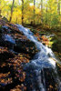 Autumn Waterfall I Poster Print by Alan Hausenflock - Item # VARPDXPSHSF214