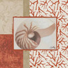 Coral Branch I Poster Print by Elizabeth Medley - Item # VARPDX8368