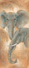Elephants watch Poster Print by  Judy Kaufman - Item # VARPDXMLV065