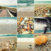 Shell Beach Poster Print by Lisa Hill Saghini - Item # VARPDX9302D