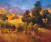 Southern Vineyard Hillside Poster Print by Philip Craig - Item # VARPDX8348