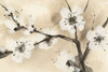 Spring Blossoms I Crop Poster Print by  Chris Paschke - Item # VARPDX25205