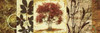 Red Tree Panel I Poster Print by Michael Marcon - Item # VARPDX9361A