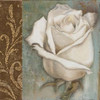 Rose I Poster Print by  Patricia Pinto - Item # VARPDX6197A