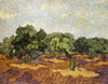 Olive Grove Pale Blue Sky Poster Print by  Vincent Van Gogh - Item # VARPDX374522