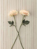Roses on table Poster Print by  Assaf Frank - Item # VARPDXAF20160318031C02