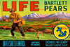 Life Brand Bartlett Pears Poster Print by Retrolabel - Item # VARPDX376021