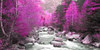Lilac river and trees 832 Poster Print by J.A. Palacios - Item # VARPDXJAP027