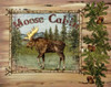 Forest Collage II Poster Print by Paul Brent - Item # VARPDXBNT491