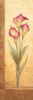 Grandiflora III Poster Print by Pamela Gladding - Item # VARPDXGLA443