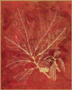 Golden Oak I Poster Print by Sarah E Chilton - Item # VARPDXCC3178