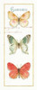 Rainbow Seeds Butterflies II Poster Print by Audit Lisa - Item # VARPDX22233