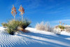 Sand Shadows II Poster Print by Douglas Taylor - Item # VARPDXPSTLR255