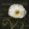 Botanical Garden II Poster Print by Daphne Brissonnet - Item # VARPDX6573