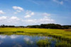 Marshland II Poster Print by Alan Hausenflock - Item # VARPDXPSHSF373