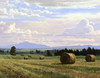 Fresh Cut Hay Poster Print by Jay Moore - Item # VARPDXM1290D