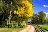 Early Virginia Autumn Poster Print by Alan Hausenflock - Item # VARPDXPSHSF1722