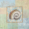 Oceanic Shell Collage IV Poster Print by Paul Brent