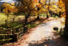 Autumn on Kent Farm II Poster Print by Alan Hausenflock - Item # VARPDXPSHSF954