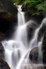 Falling Water II Poster Print by Douglas Taylor - Item # VARPDXPSTLR283