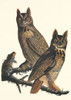 Great Horned Owl Poster Print by  John James Audubon - Item # VARPDX197845
