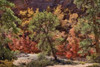 Fall Leaves V Poster Print by Lee Peterson - Item # VARPDXPSPSN166