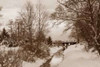 Winter Scenic I Poster Print by Dana Styber - Item # VARPDXPSSTY154