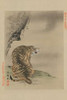 Tiger Poster Print by Unknown - Item # VARPDX342910