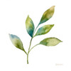 Modern Leaf Study on White IV Poster Print by  Cynthia Coulter - Item # VARPDXRB10734CC