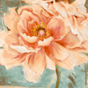 Beautiful Peonies Square I Poster Print by Patricia Pinto - Item # VARPDX9232