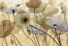Fluidity IV - WAG Poster Print by Shirley Novak - Item # VARPDX4685