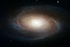 Spiral Galaxy M81 Poster Print by NASA - Item # VARPDX455993