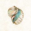 Coastal Teal Seashell I Poster Print by Lanie Loreth - Item # VARPDX8598FF