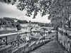 Tiber river through the city of Rome, Italy Poster Print by  Assaf Frank - Item # VARPDXAF20141111818XC02