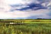 Marshland Storm I Poster Print by Alan Hausenflock - Item # VARPDXPSHSF393
