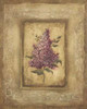 Grand Savin Lilac Poster Print by Kimberly Poloson - Item # VARPDXPOL041