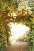 Secret Garden II Poster Print by Karyn Millet - Item # VARPDXPSMLT347