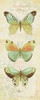 Cote Jardin V Poster Print by Daphne Brissonnet - Item # VARPDX5755