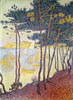 Sailboats Poster Print by  Paul Signac