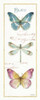 Rainbow Seeds Butterflies I Poster Print by Audit Lisa - Item # VARPDX22232