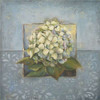 Hydrangeas on Blue I Poster Print by  Patricia Pinto - Item # VARPDX7283A